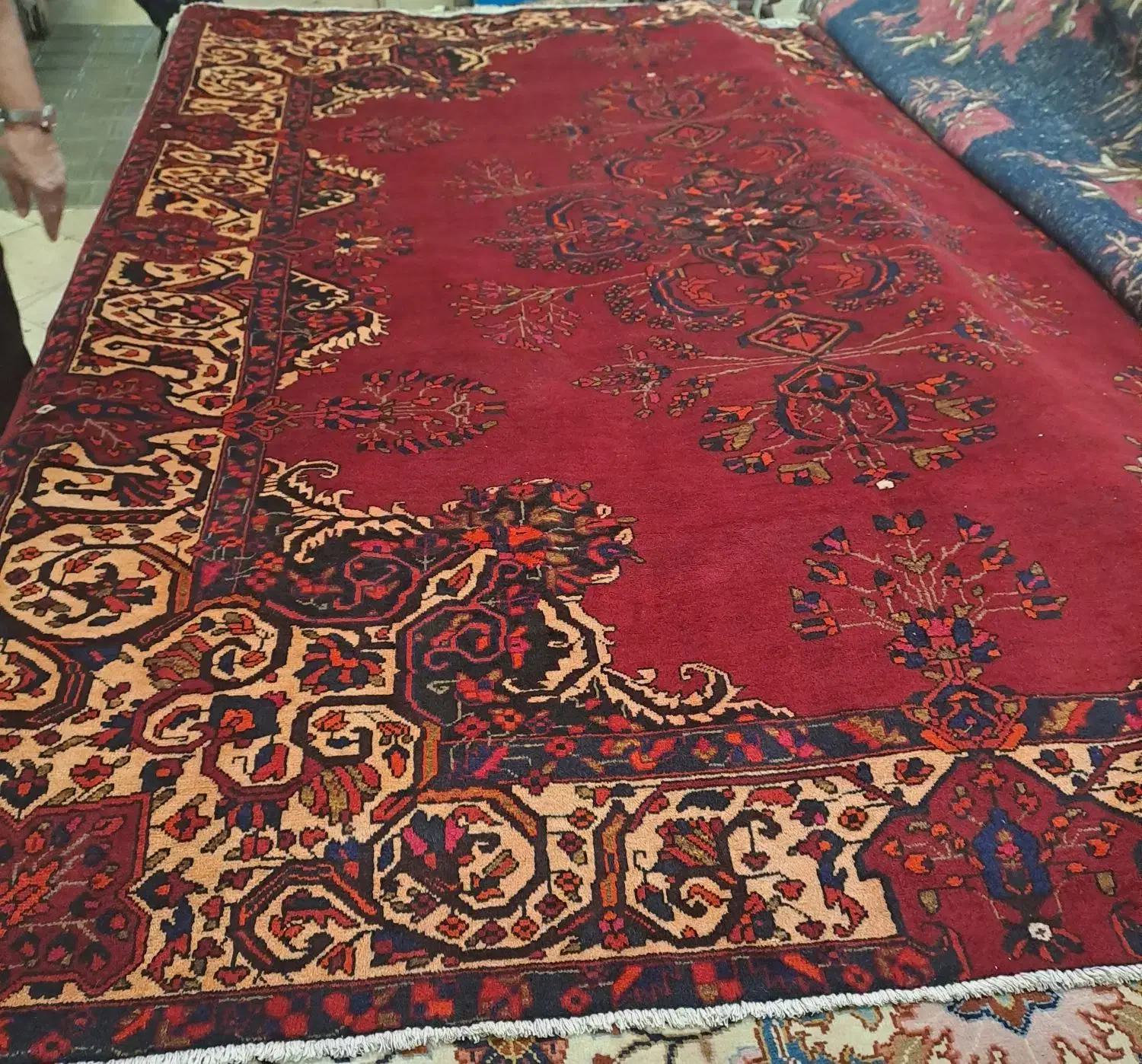 فرش دستباف|فرش|تهران, شهرک گلها|دیوار