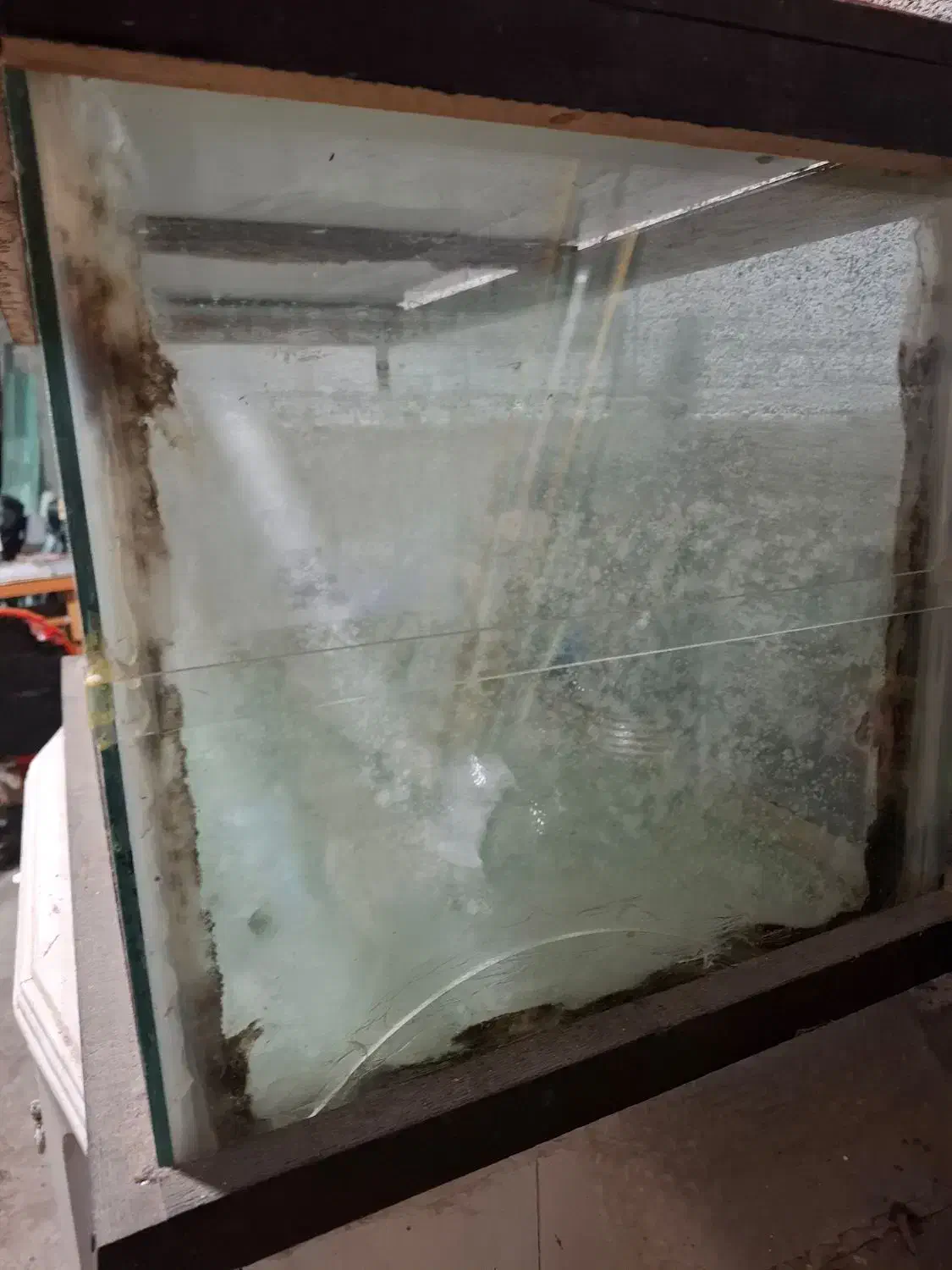 آکواریوم بزرگ|ماهی|رامسر, |دیوار