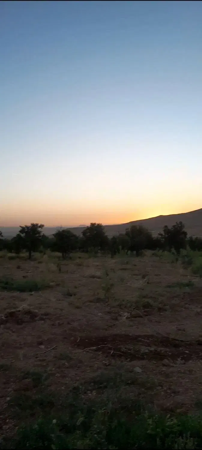 فروش طرح کشاورزی5500 مترطرح عمان سامان|اجارهٔ دفتر صنعتی، کشاورزی، تجاری|سامان, |دیوار