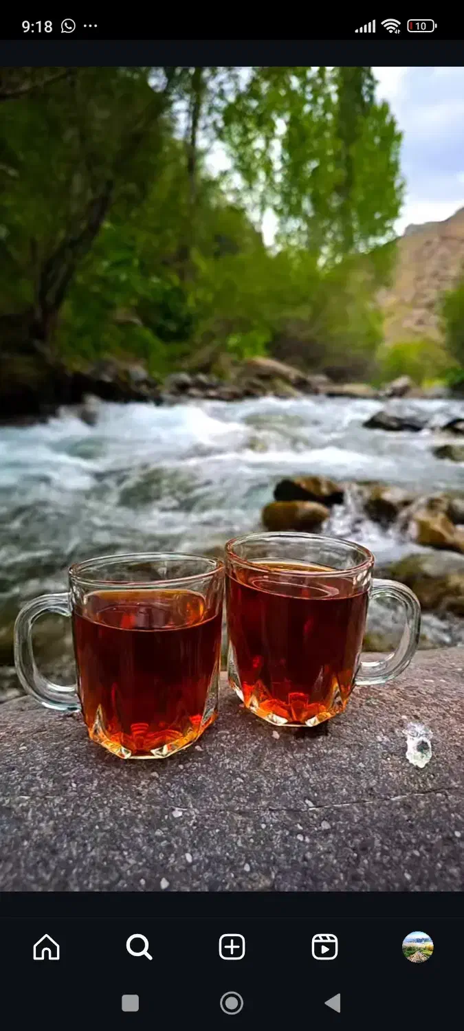 تور گردش گری|تور و چارتر|شیراز, دانشگاه شیراز|دیوار