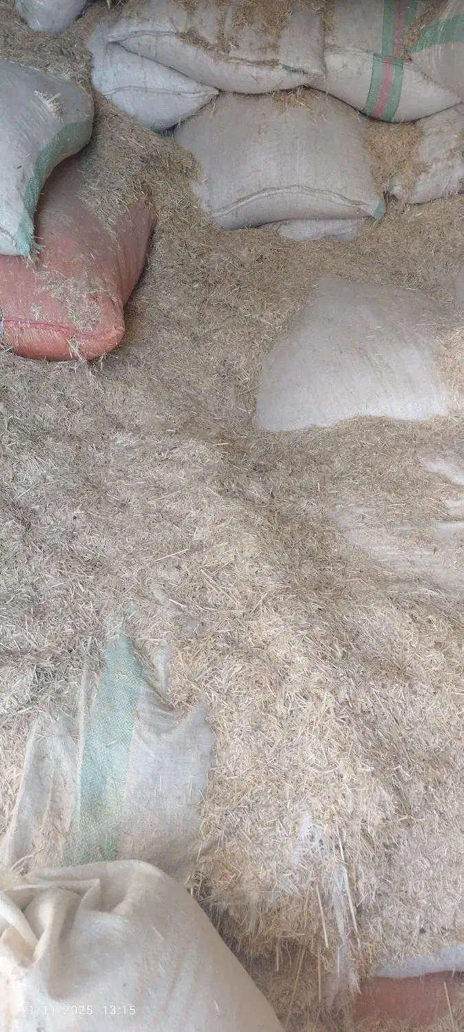 کاه گندم|حیوانات مزرعه|چگنی, |دیوار