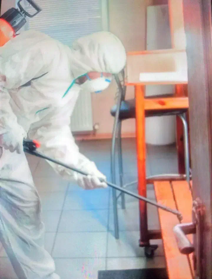 سم پاشی منازل شما با نازل ترین قیمت|خدمات نظافت|نیشابور, پنجراه|دیوار