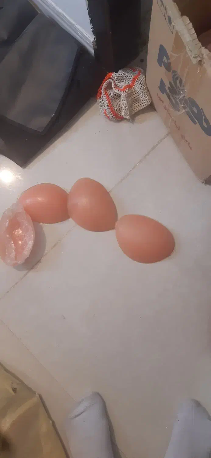 حراج لباس زیر زنانه|لباس|فیروزآباد (فارس), |دیوار