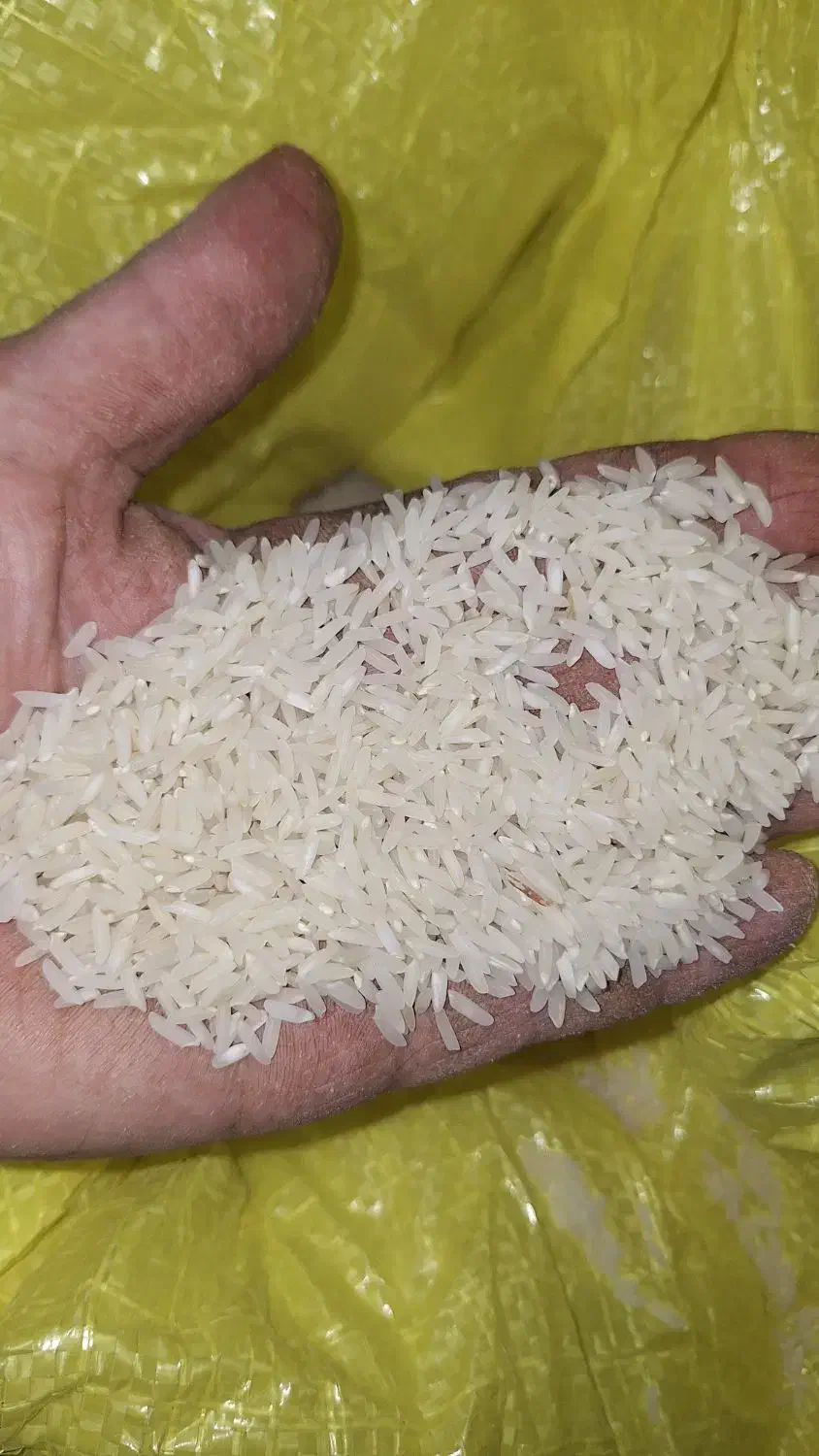 برنج هاشمی|خوردنی و آشامیدنی|سنگر, |دیوار