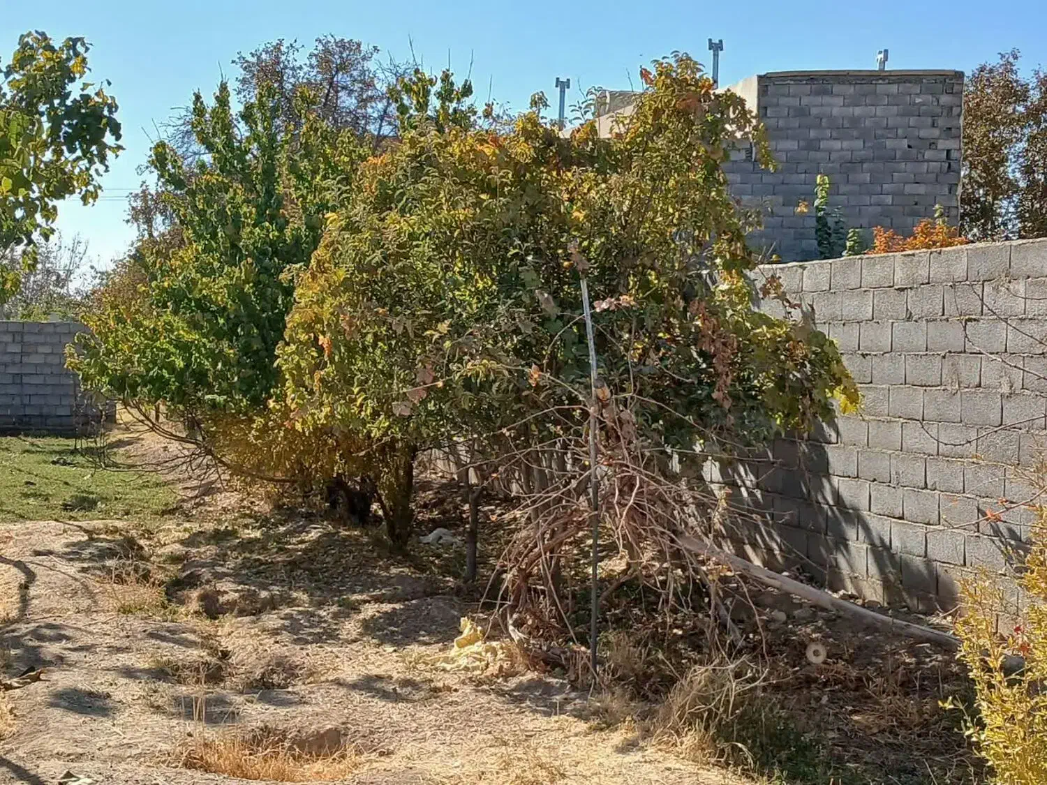 باغ ، جاخونه ،آینده دار|فروش زمین و ملک کلنگی|نجفآباد, قلعه سفید|دیوار