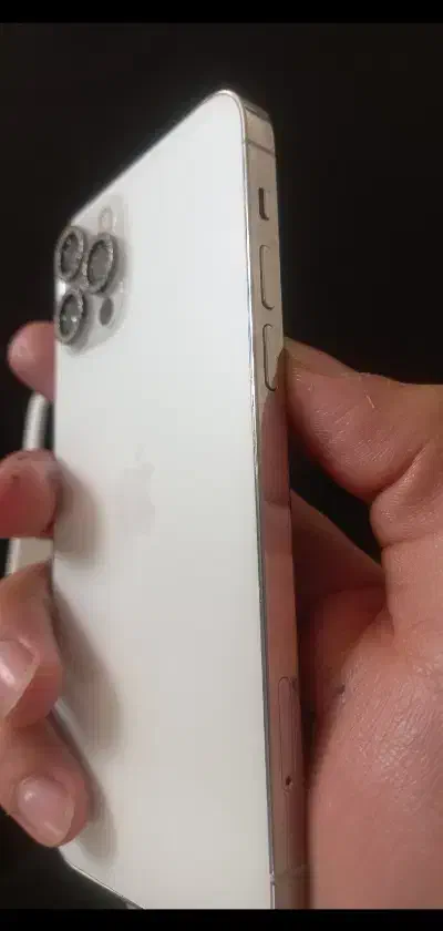 12 pro|موبایل|تهران, سازمان برنامه جنوبی|دیوار