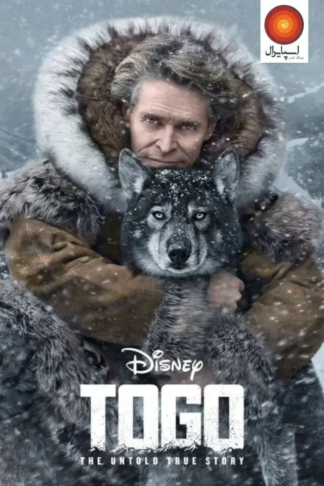 سینما|گردهمایی و همایش|شیراز, گلدشت معالیآباد|دیوار