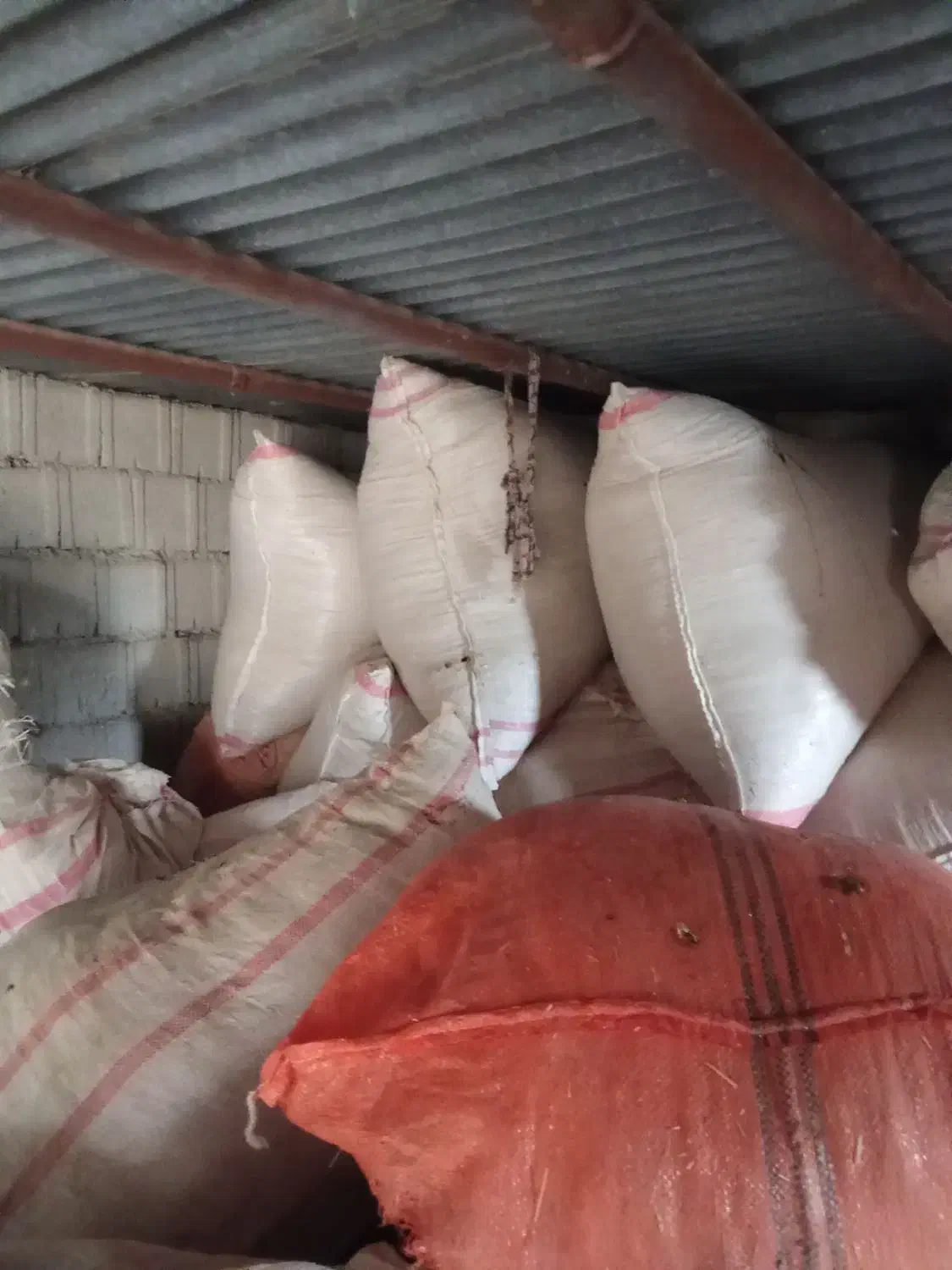 کاه|حیوانات مزرعه|اندیکا, |دیوار