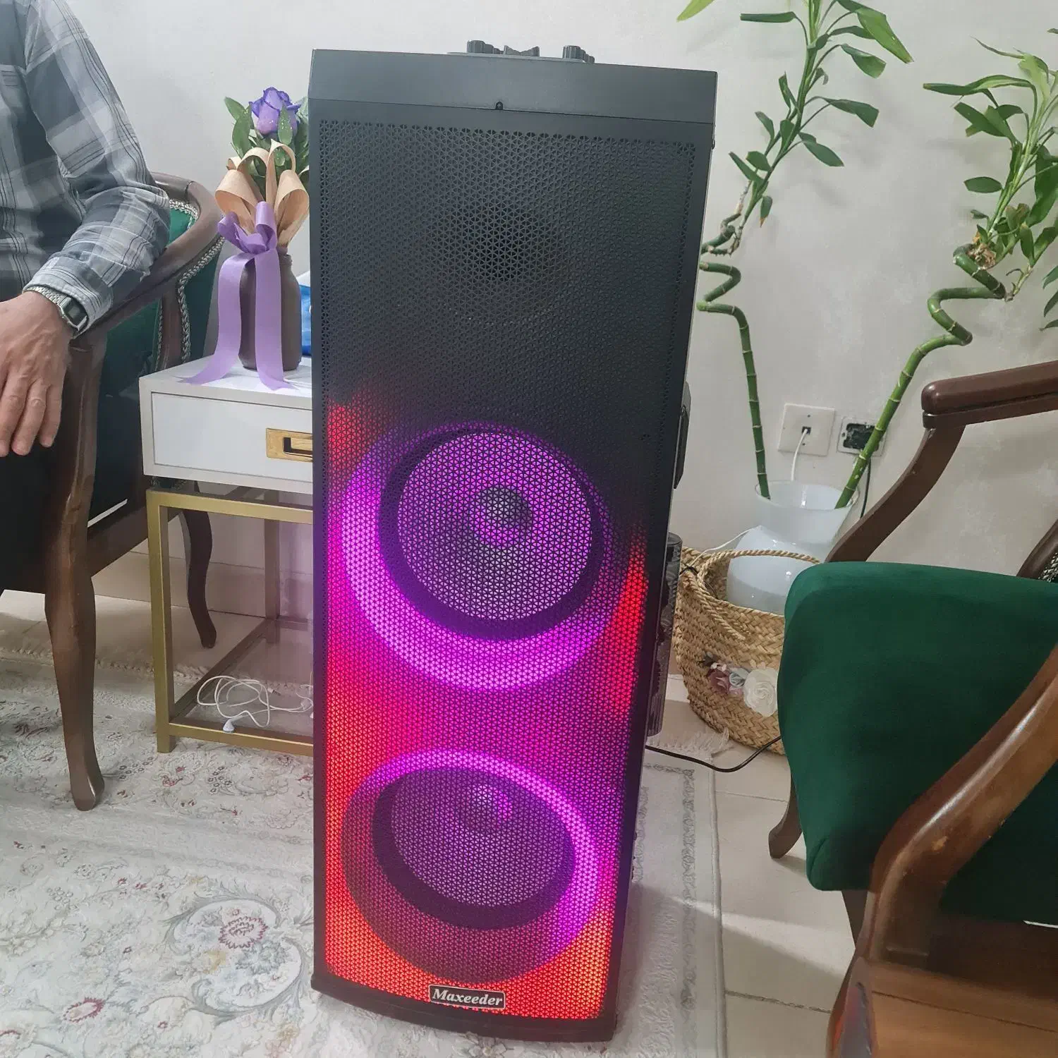 باندmaxeeder مدل 2102|سیستم صوتی خانگی|پرند, فاز ۲|دیوار