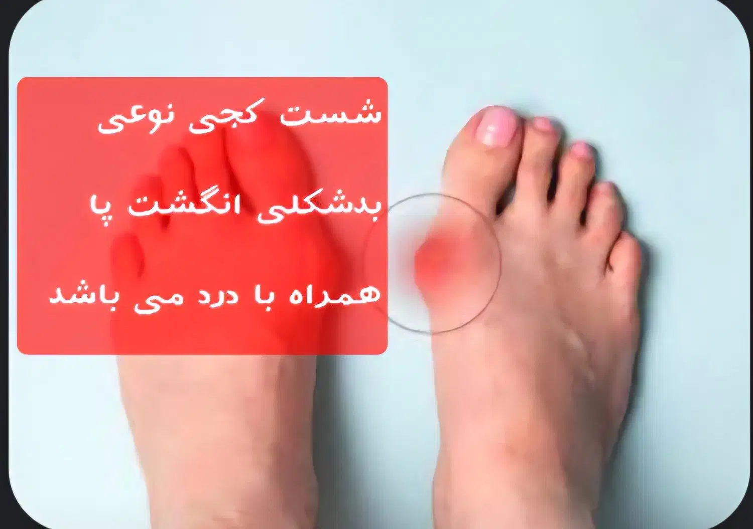 تجهیزات پزشکی سارگل|پزشکی|شیراز, قالیشویی|دیوار