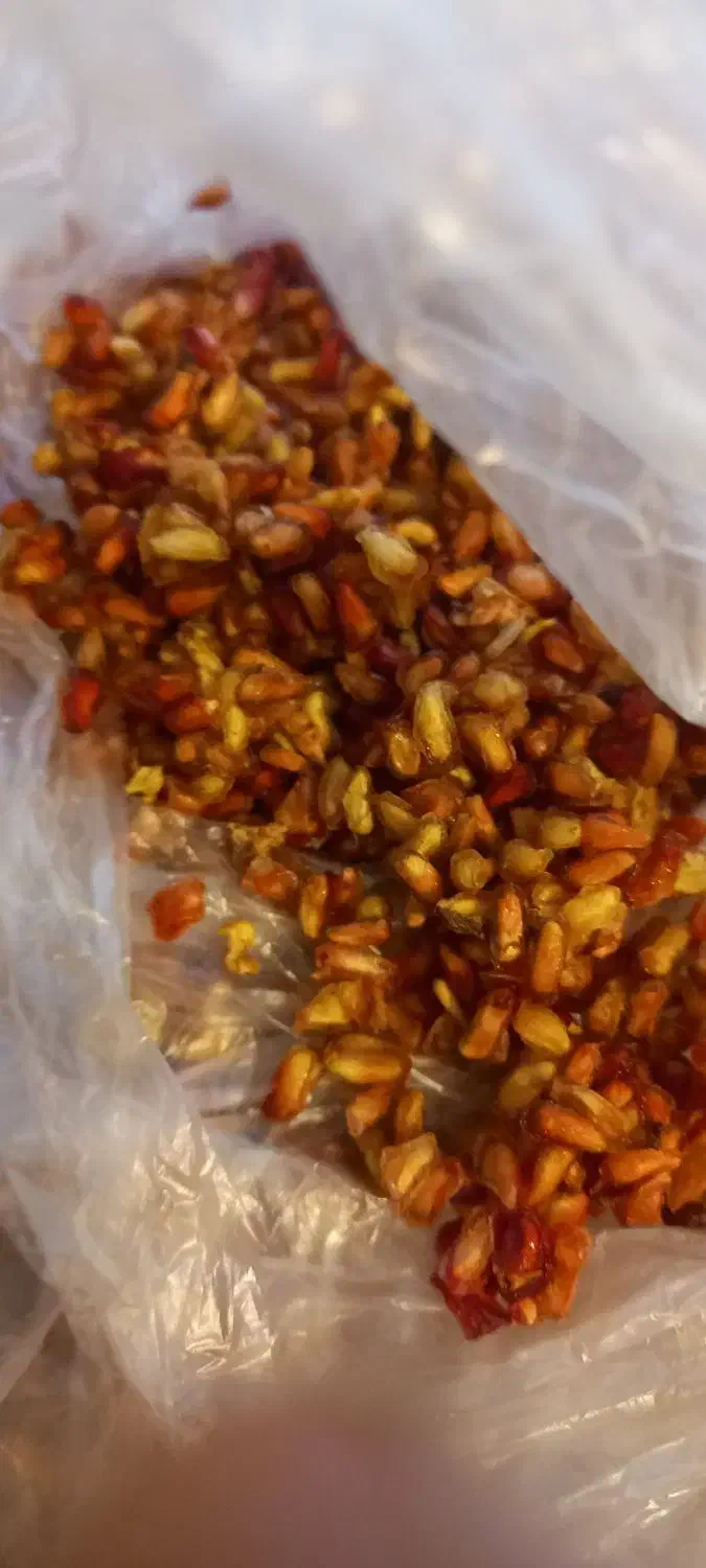 ناردونه ورب اناروابغوره وکشمش|خوردنی و آشامیدنی|شیراز, کوشک میدان|دیوار