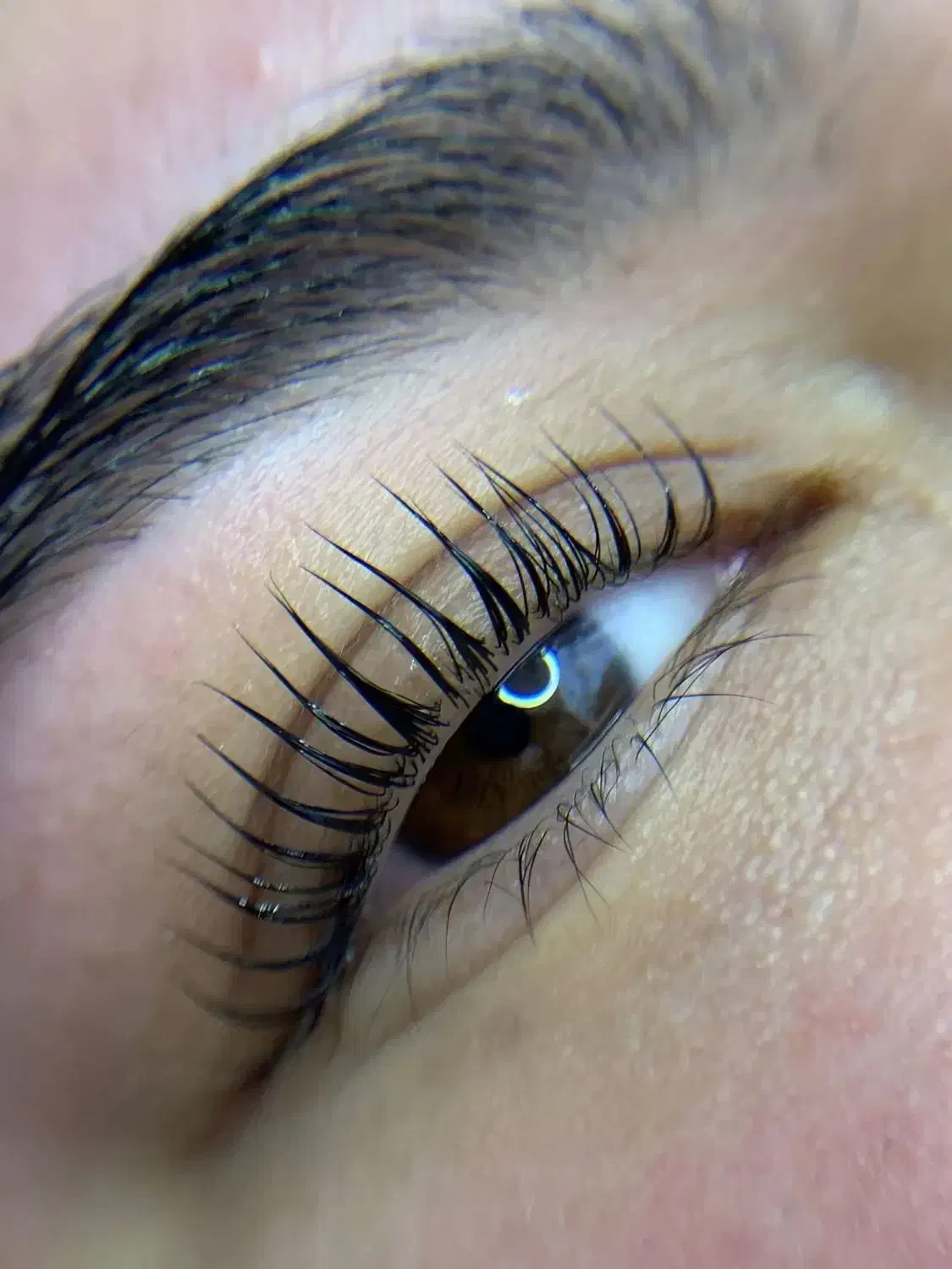 کاشت موقت مژه/ لیفت و لمینت مژه و ابرو|خدمات آرایشگری و زیبایی|تهران, شمیراننو|دیوار