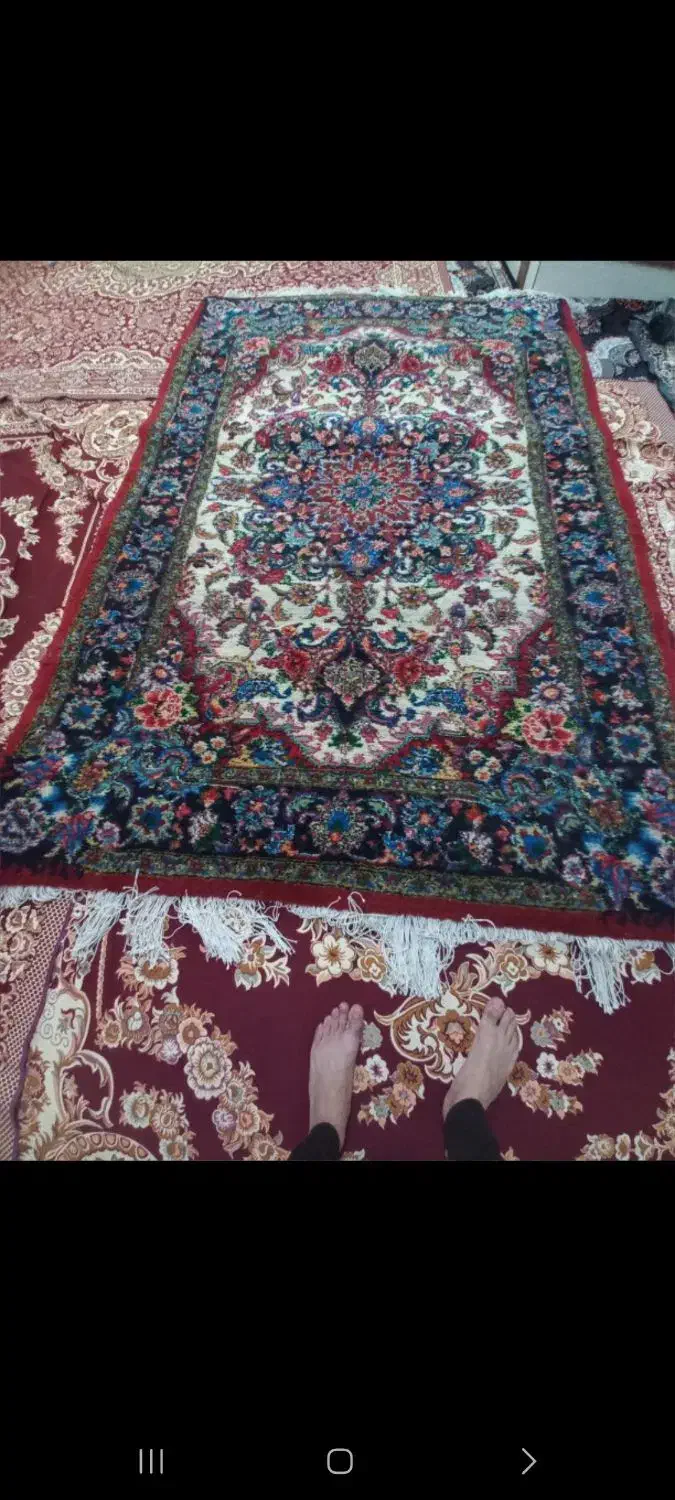 فرش ۶متری سالاری|فرش|تبریز, |دیوار