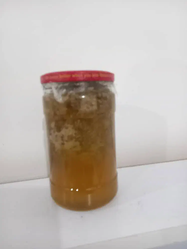 عسل کنار|خوردنی و آشامیدنی|قشم, |دیوار