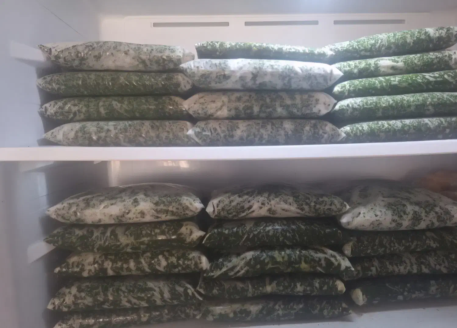 قورمه سبزی، آب نارنج|خوردنی و آشامیدنی|قائمشهر, |دیوار