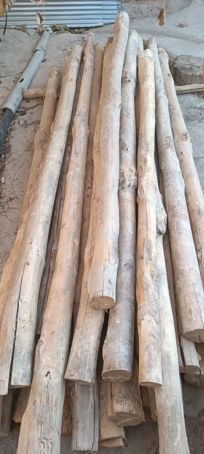 تیر سقف|مصالح و تجهیزات ساختمان|شازند, |دیوار