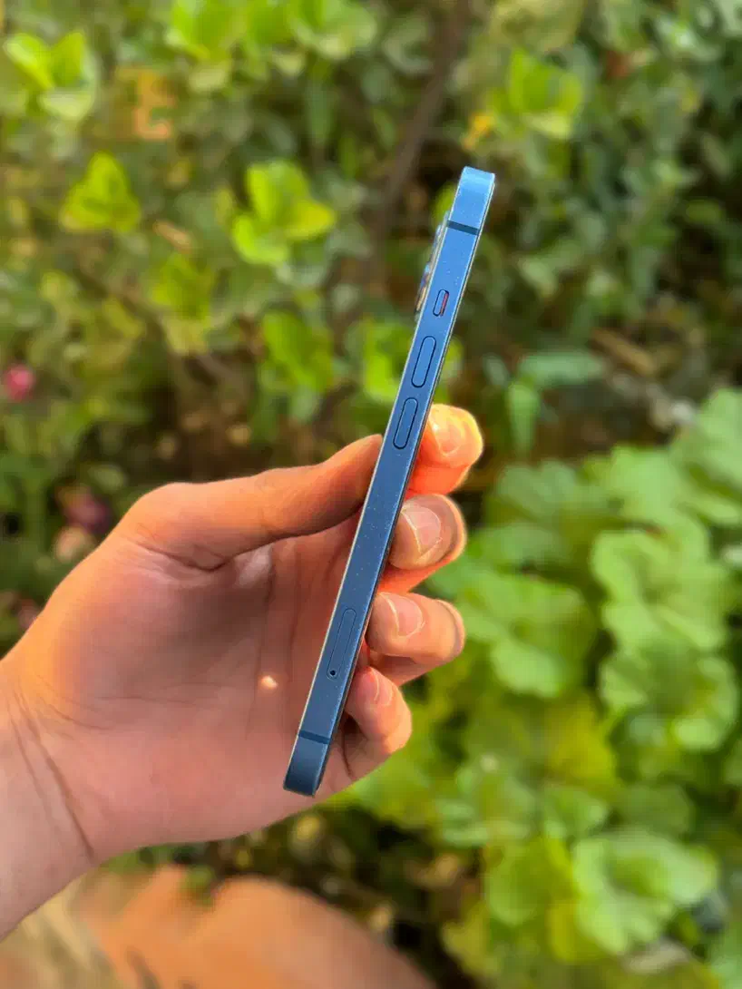 iphone 13|موبایل|ساری, |دیوار