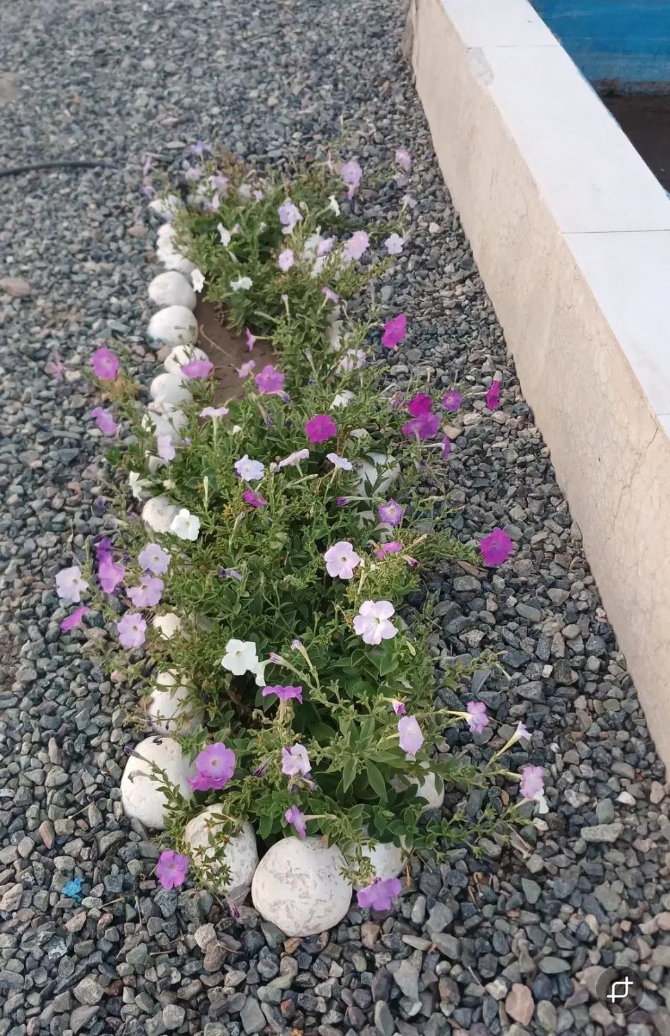 تصویر 8