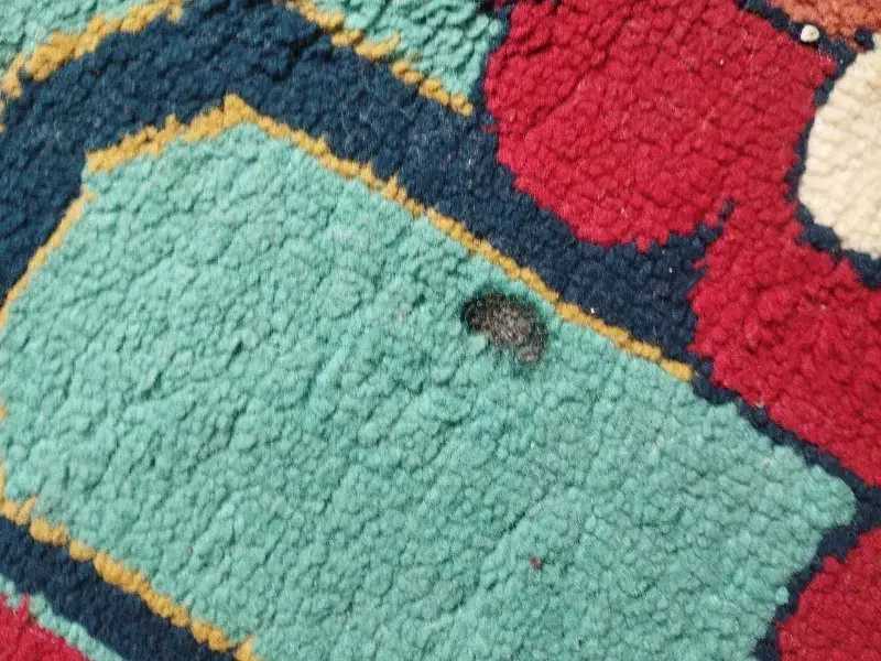 گلیم|گلیم، جاجیم، گبه|قزوین, |دیوار