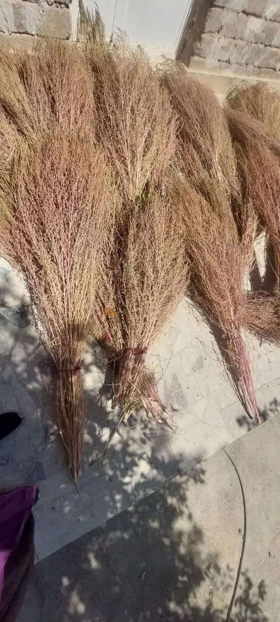 جارو شهرداری ،محلی|لوازم نظافت|اندیمشک, |دیوار