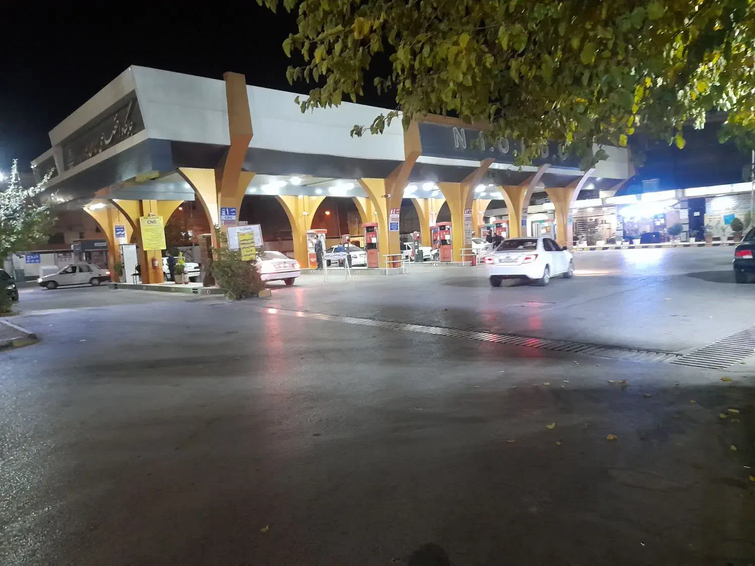 پامر پیدا شده|سگ|مبارکه, |دیوار