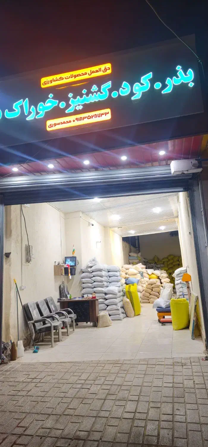 فروش عمده تخم گشنیز توپی|عمده‌فروشی|نهاوند, |دیوار