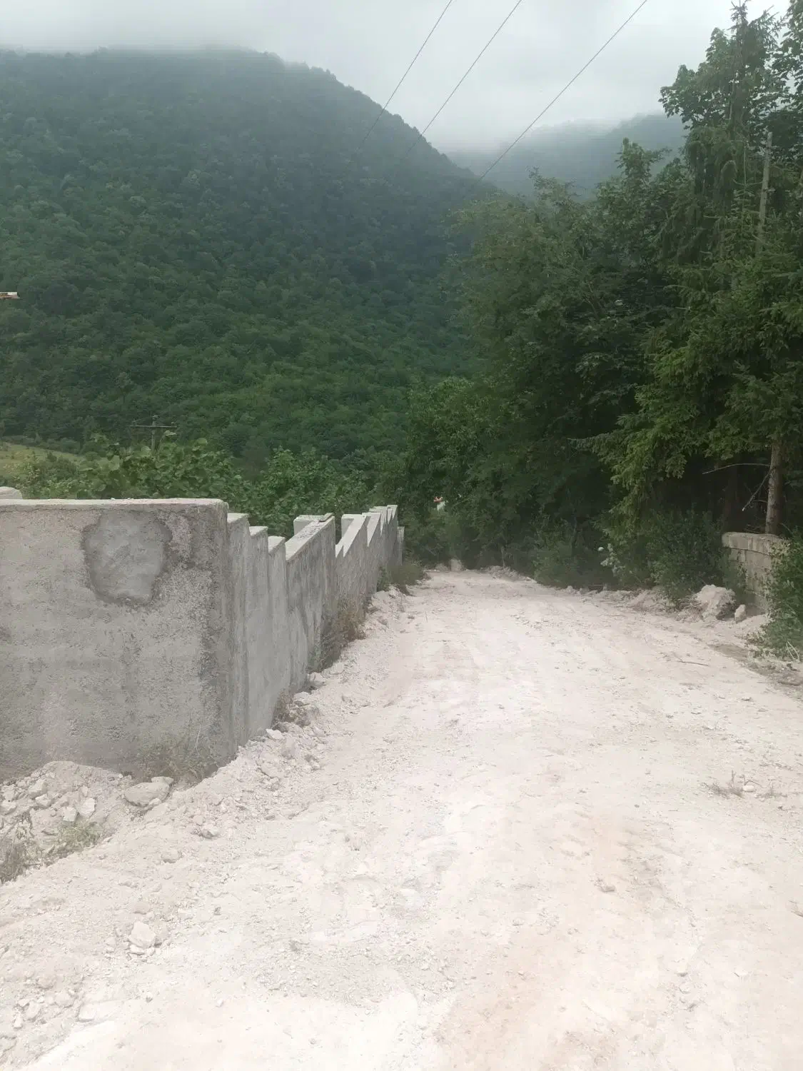 ۸۰۰ متر زمین لزیر رویان با ویو جنگل قابل ساخت|فروش زمین و ملک کلنگی|رویان, |دیوار