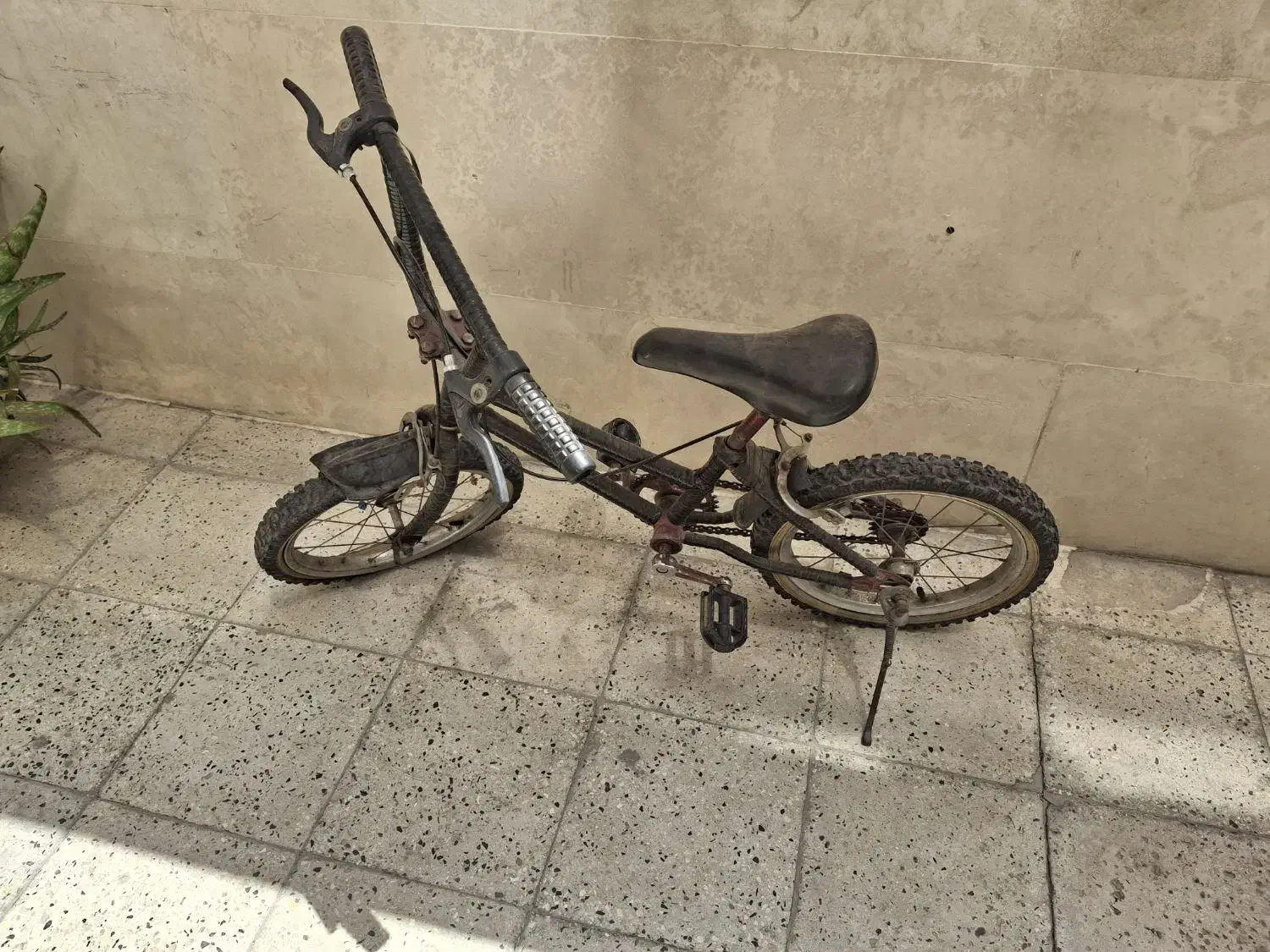 دوچرخه 16|دوچرخه، اسکیت، اسکوتر|قرچک, پویینک|دیوار