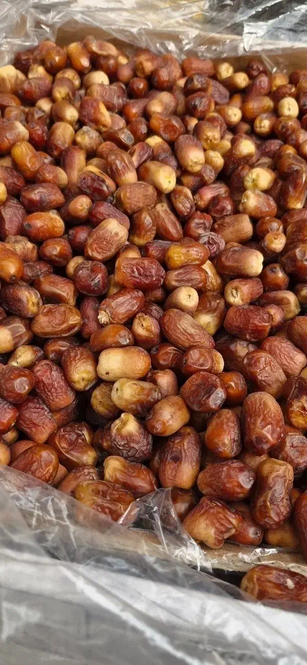 خشک درجه ۱|حراج|مریوان, |دیوار