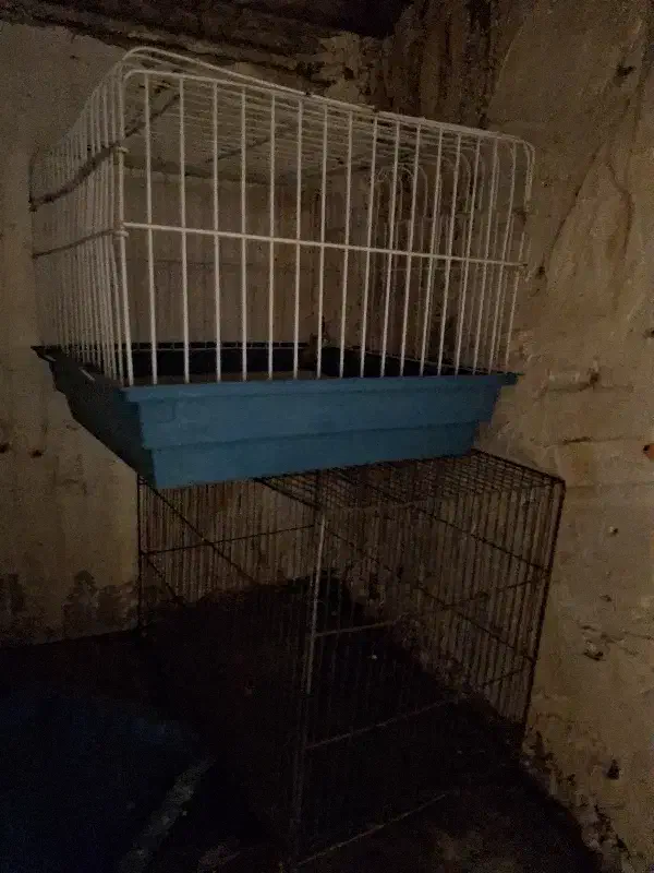 ۳تاقفس بزرگ|لوازم جانبی حیوانات|شیراز, کوشک میدان|دیوار