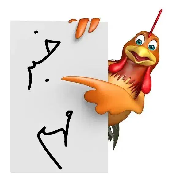 جشنواره فروش ویژه قـفـس آشیونه|لوازم جانبی حیوانات|قم, قم نو|دیوار