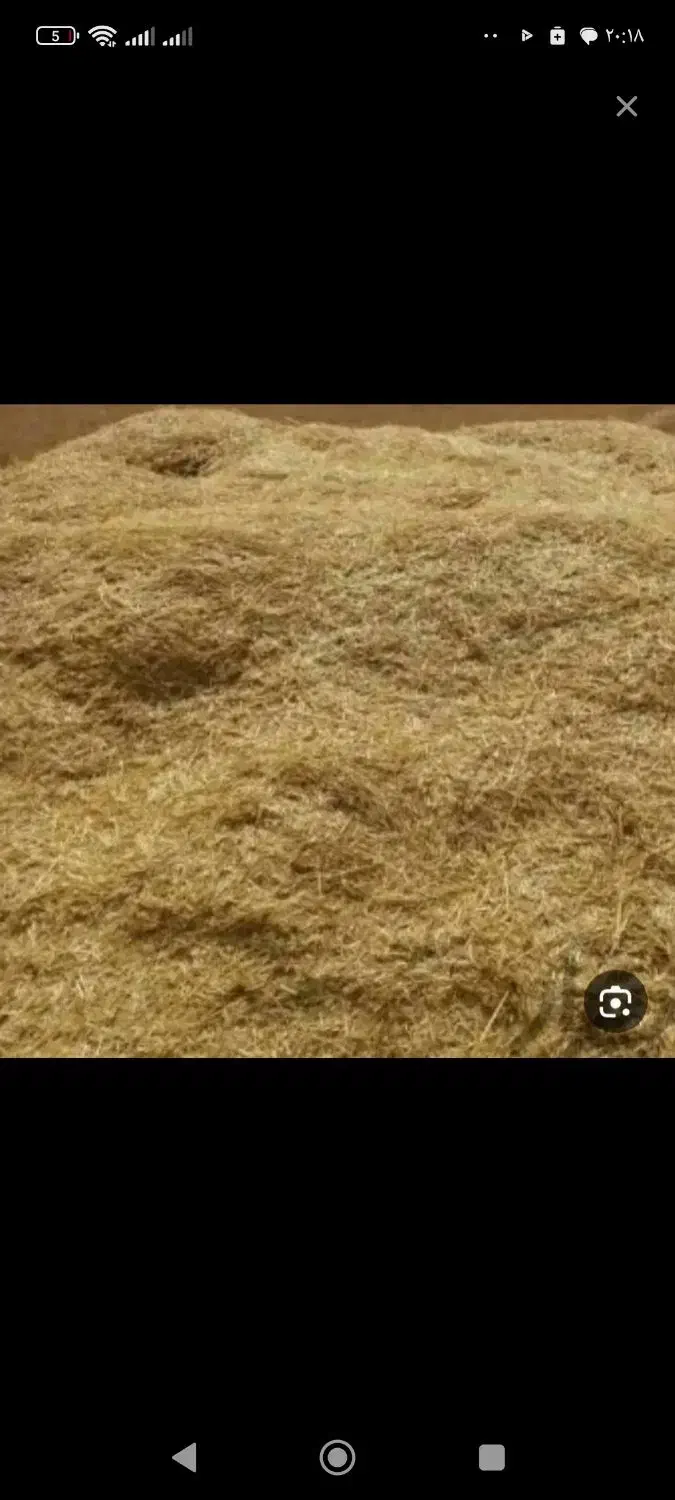 کاه گندم|حیوانات مزرعه|زاغه, |دیوار