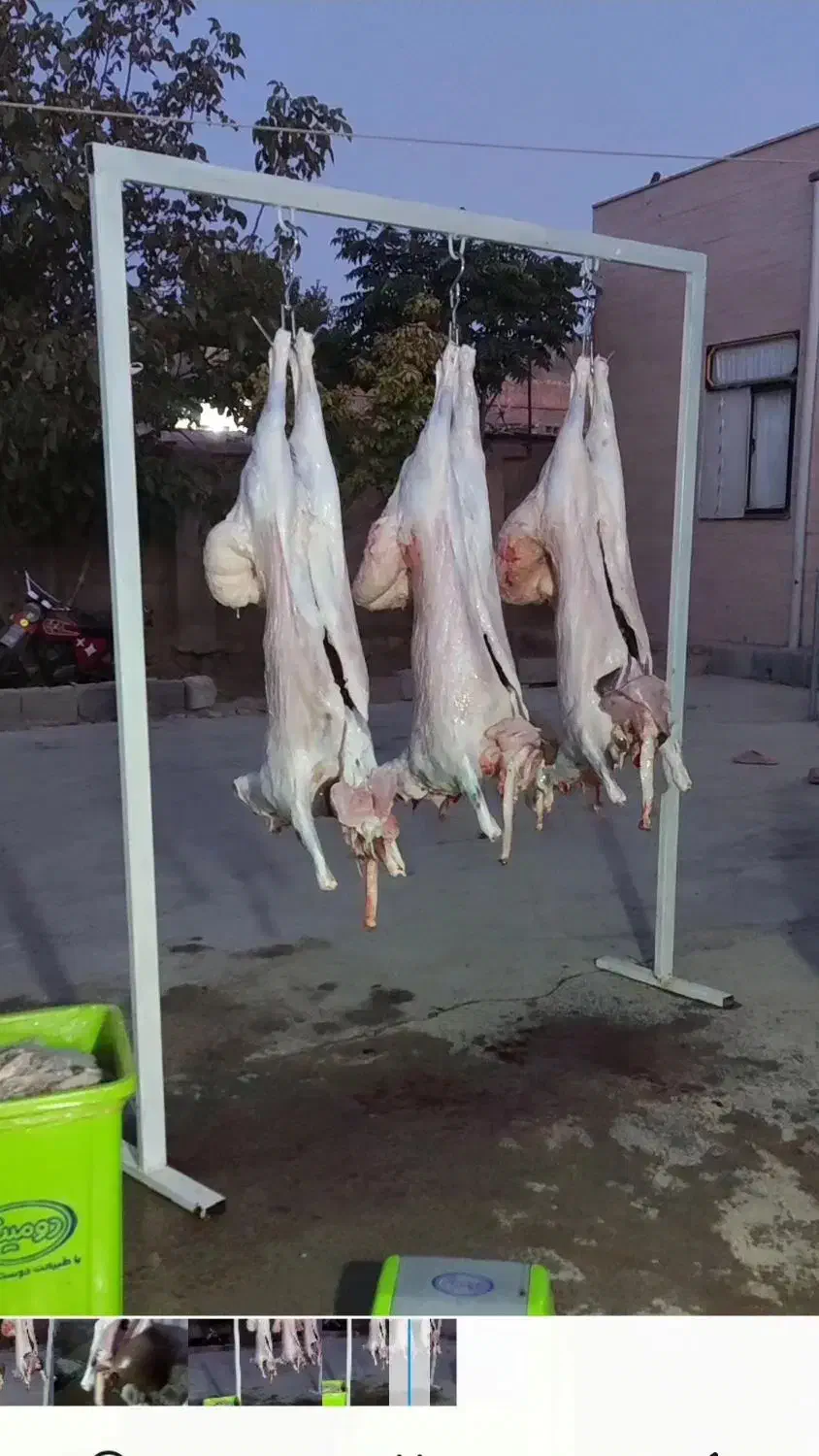 گوشت گوساله|خوردنی و آشامیدنی|بجنورد, |دیوار