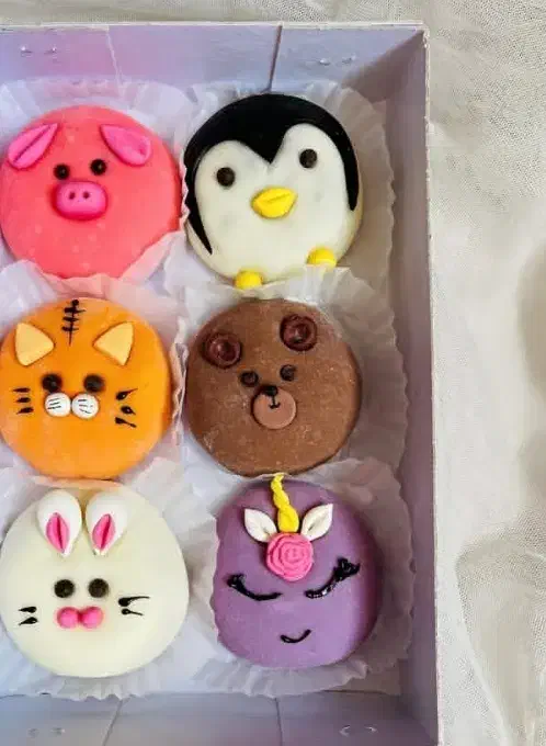 دوره آموزشی فیلینگ|خدمات آموزشی|زاهدان, |دیوار