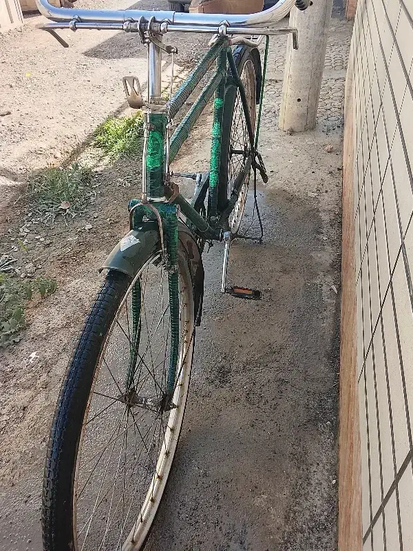 دوچرخه چینی دو میله|دوچرخه، اسکیت، اسکوتر|فلاورجان, |دیوار