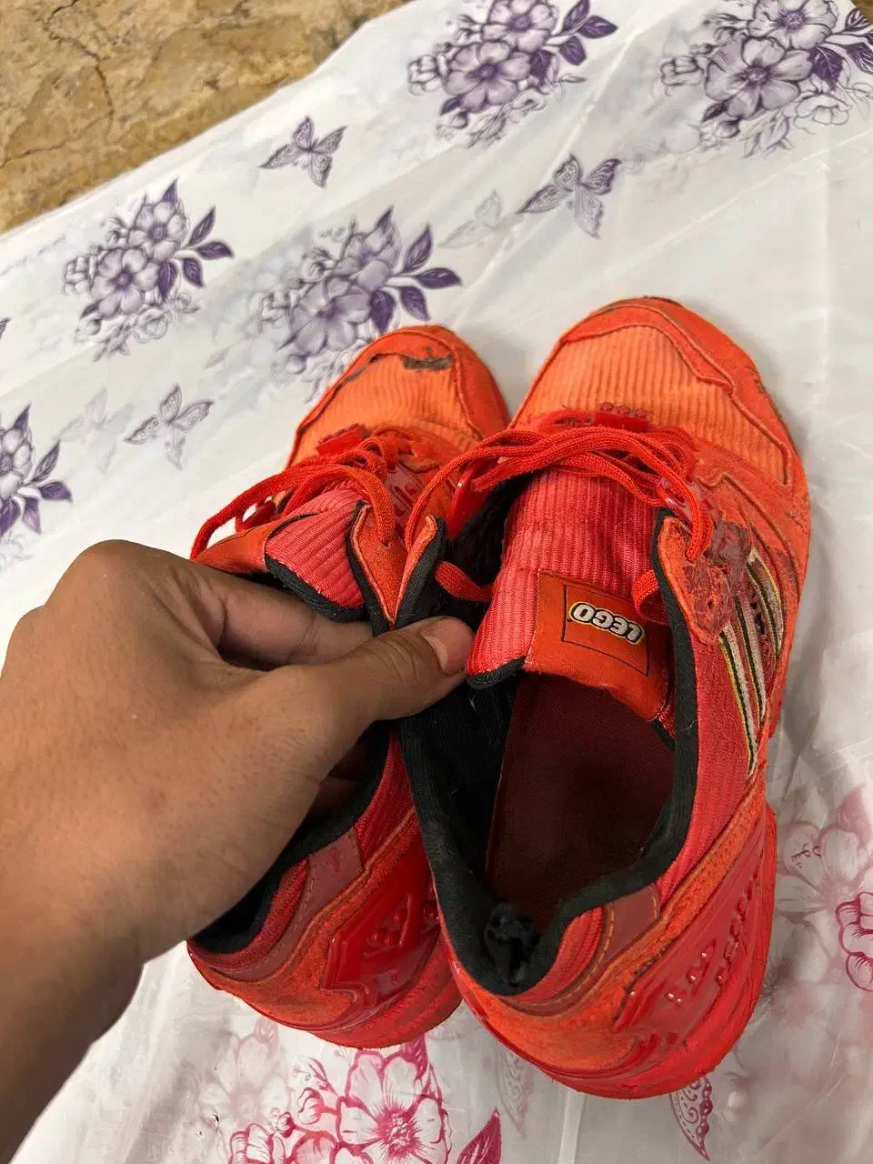 کتونی zxلگو قرمز|کیف، کفش، کمربند|شوش, |دیوار