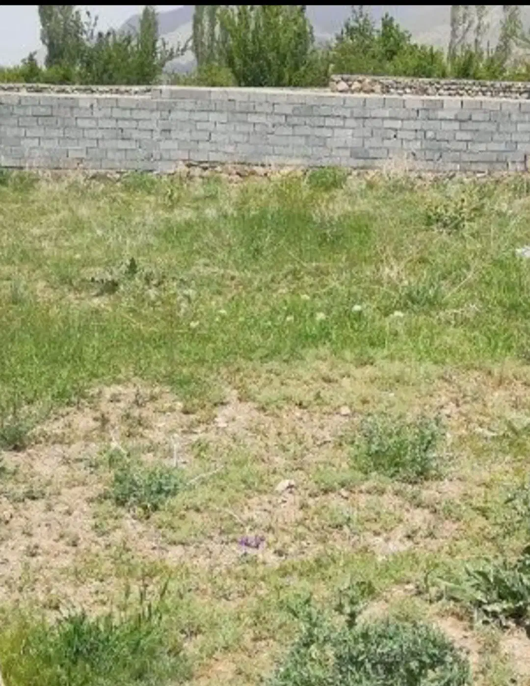 فروش زمین ۴۵۰متری در  عباس آباد محمد شهر|فروش زمین و ملک کلنگی|محمدشهر, عباس آباد|دیوار