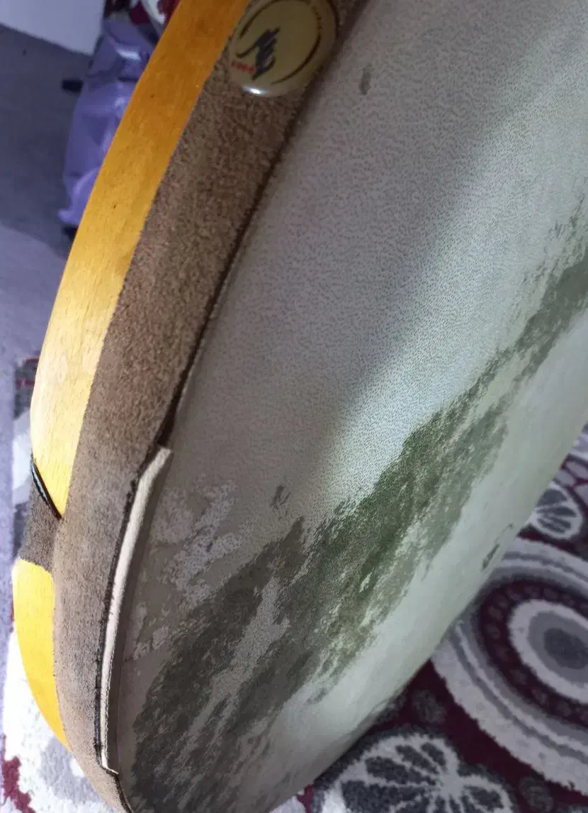 دف حبیبی مدل رکوردینگ|سازهای سنتی|قزوین, |دیوار