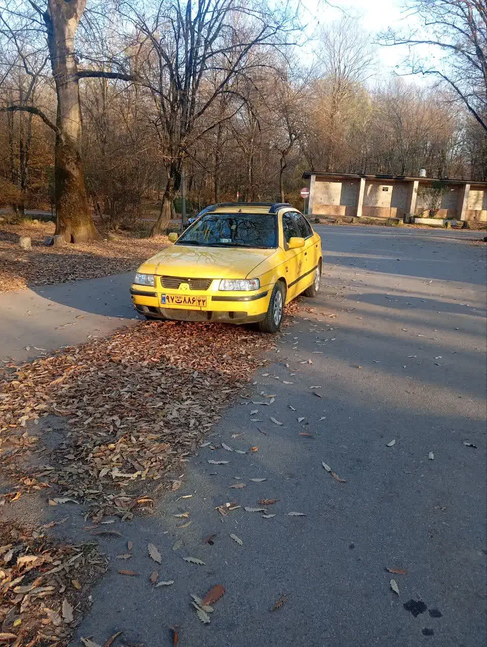 تاکسی سمندبدون رنگ|خودرو سواری و وانت|ری, سرتخت|دیوار