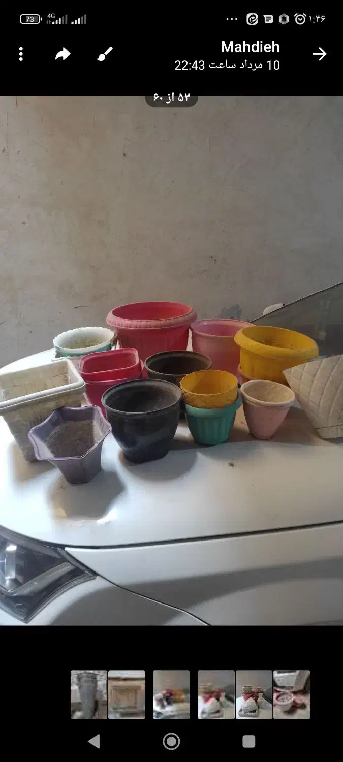 گلدان پلاستیکی وآهنی|گل و گیاه طبیعی|نسیم‌شهر, |دیوار