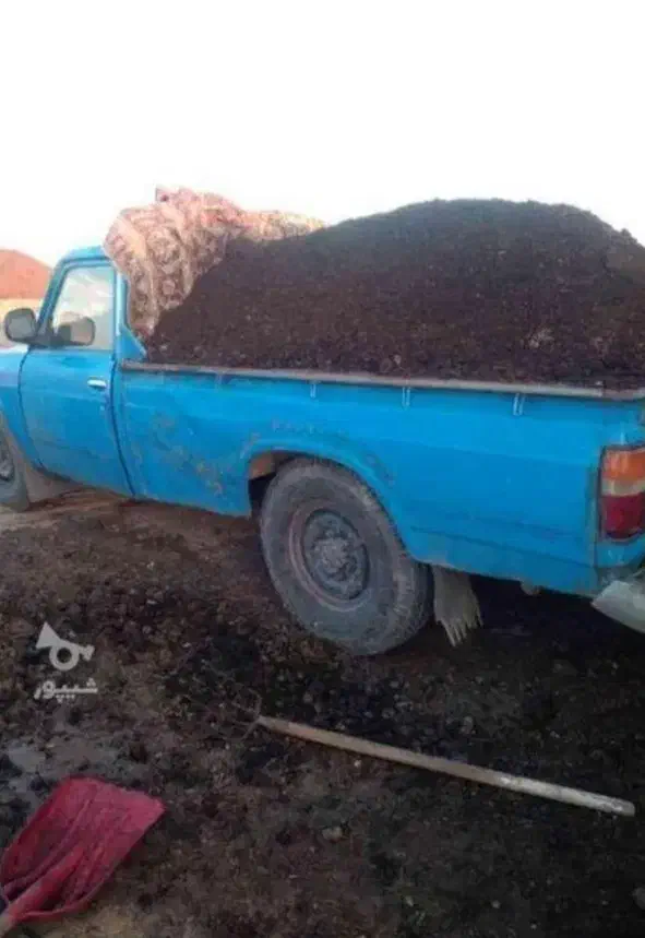 کودحیوانی گاوی گوسفندی پوسیده تحویل درمحل|خدمات باغبانی و درختکاری|کرج, کمال‌شهر|دیوار