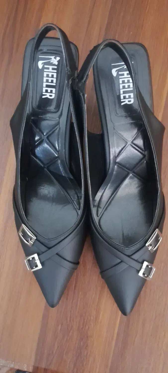 کفش|کیف، کفش، کمربند|میاندوآب, |دیوار