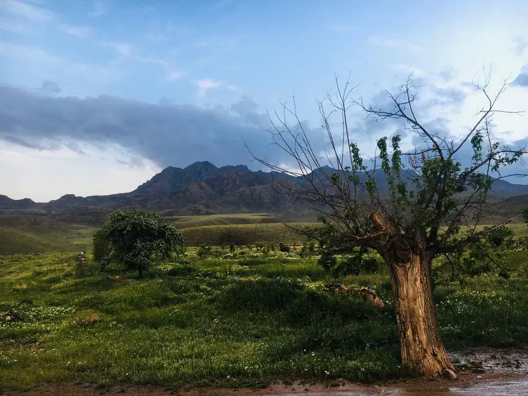 فروش ملک وزمین وساختمان|فروش دفتر صنعتی، کشاورزی، تجاری|سلفچگان, |دیوار