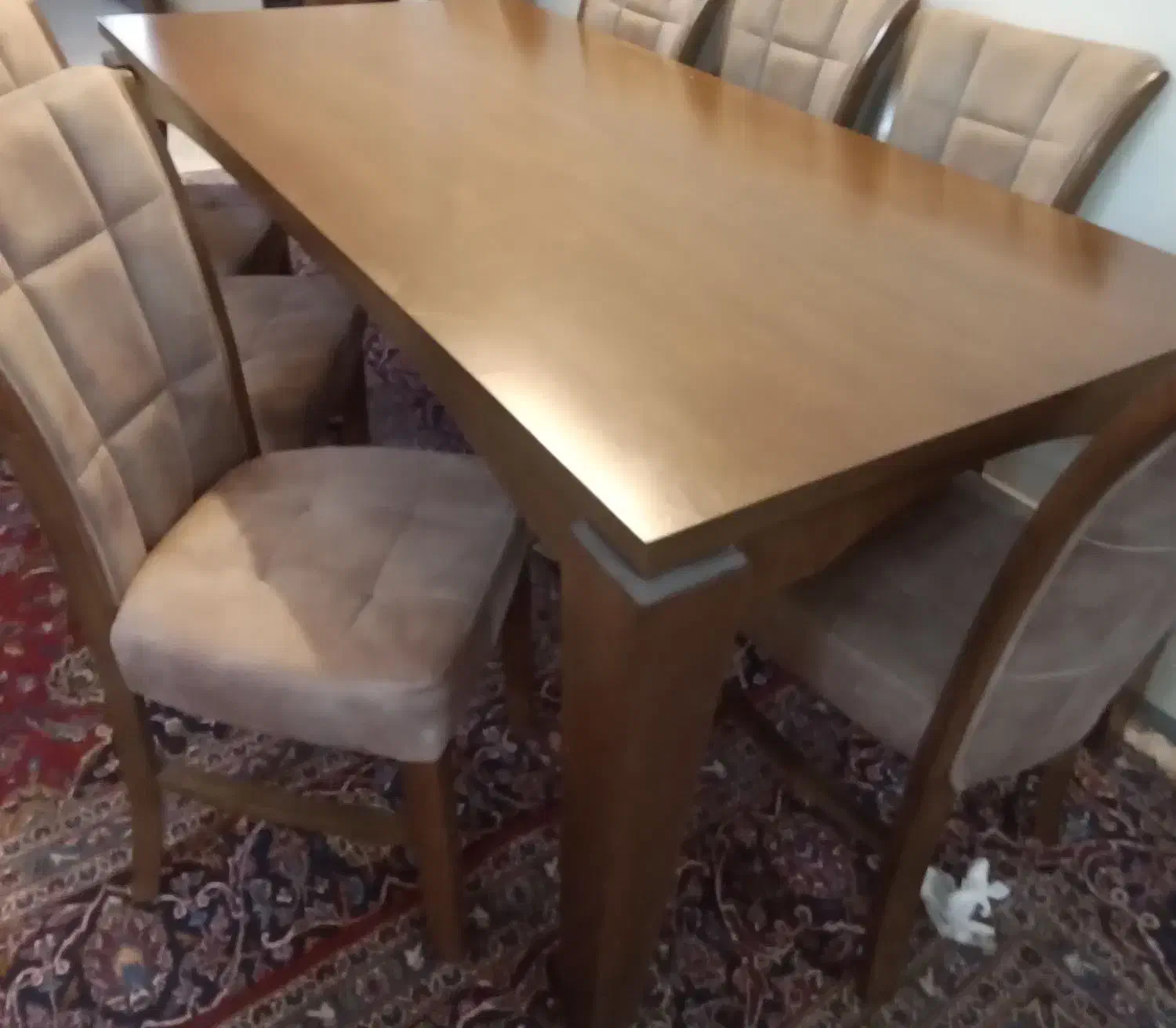 سرویس هشت نفره ناهار خوری نو زیر قیمت فروشگاه|میز و صندلی غذاخوری|قم, بلوار امین و ساحلی|دیوار