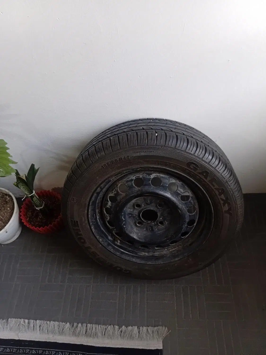 لاستیک نو ساینا|قطعات یدکی و لوازم جانبی|مشهد, پورسینا|دیوار