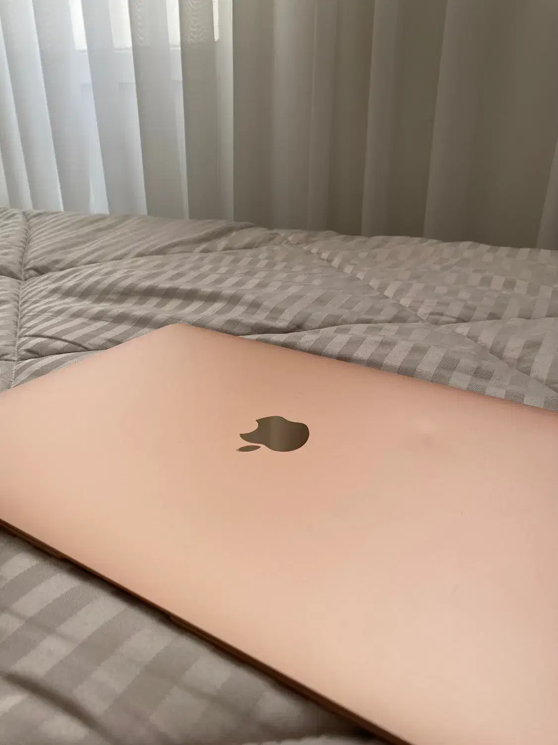 MacBook air 2020|رایانه همراه|قم, شهرک قدس|دیوار