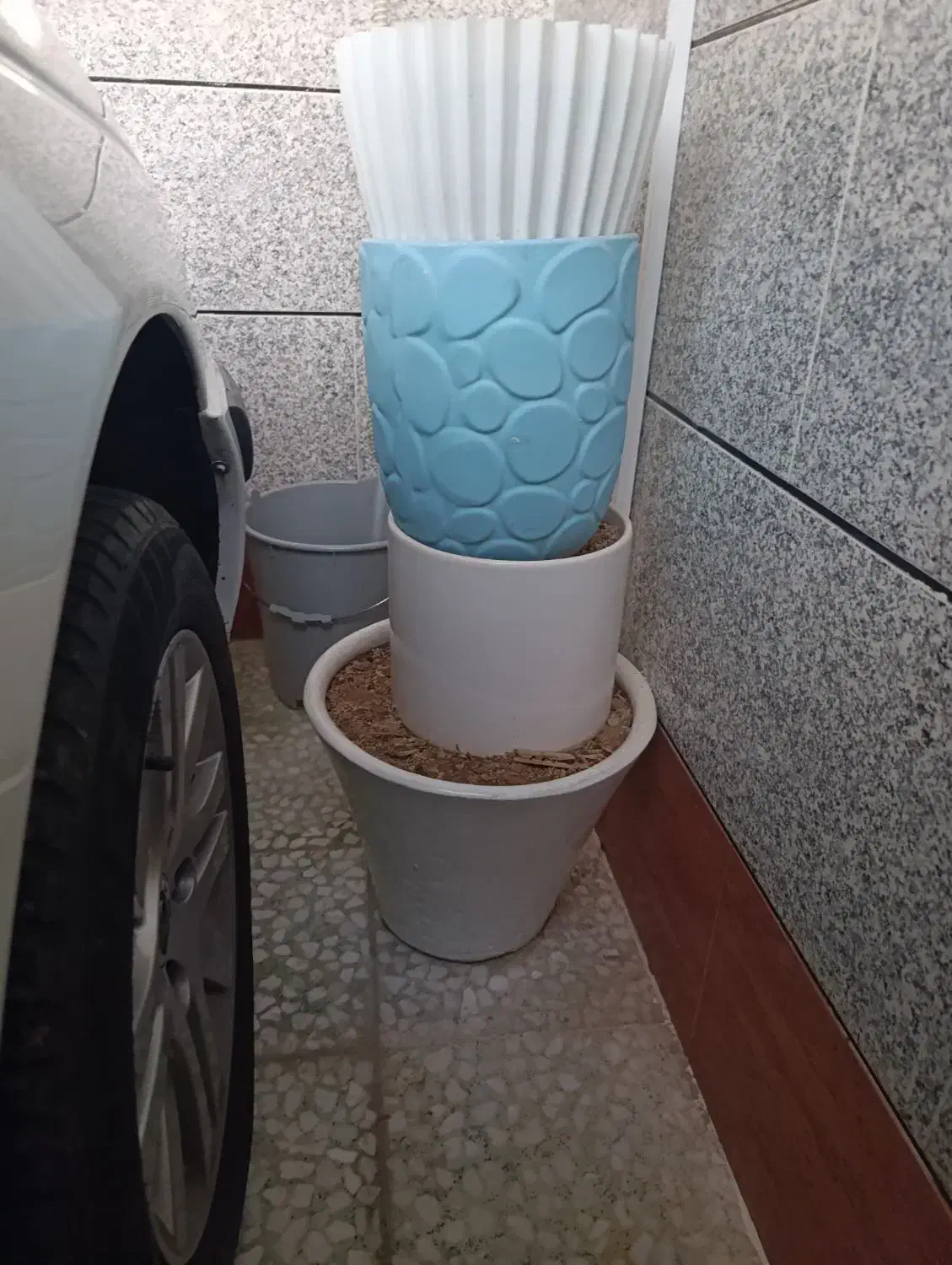 گلدان سالم|گل و گیاه طبیعی|بندر ماهشهر, |دیوار