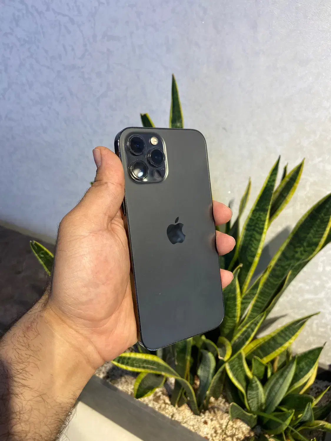 اپل ایفون ۱۲ پرومکس ۲۵۶ za اقساط بدون پیش پرداخت|موبایل|اصفهان, مفتح|دیوار