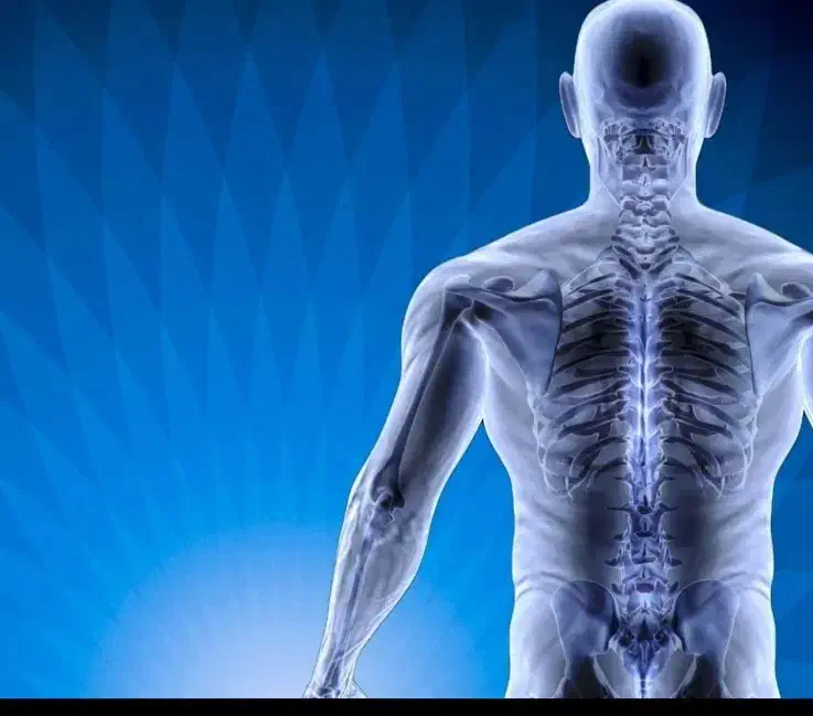 فیزیوتراپی در منزل|خدمات آرایشگری و زیبایی|تهران, جمهوری|دیوار