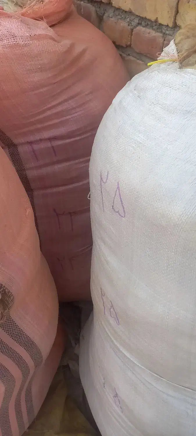 پشم گوسفند|حیوانات مزرعه|سیلوانه, |دیوار